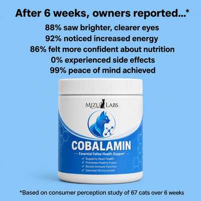 Cobalamin For Cats