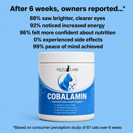Cobalamin For Cats