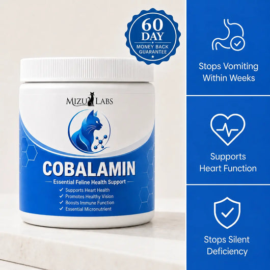 Cobalamin For Cats