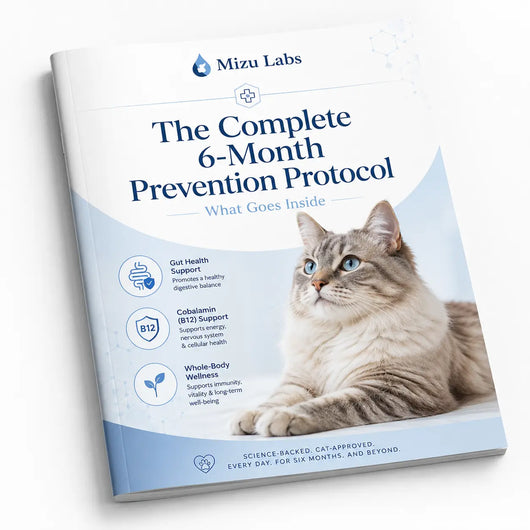 The Complete Gut Repair Protocol